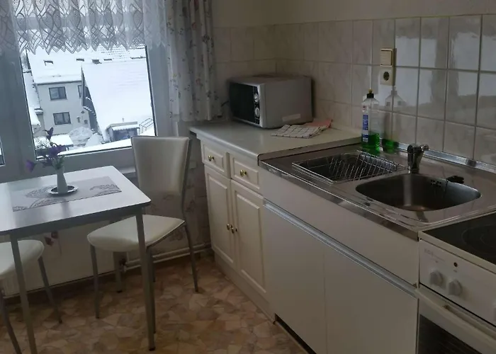 Apartamento Ferienhaus Benneckenstein Benneckenstein